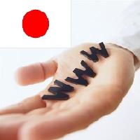 Доменные имена для жителей Японских островов продлеваются бесплатно